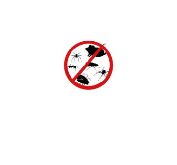 D.D.Delta